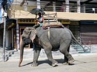DSC01277  Elephant taxi in Sauraha, the entry point to Chitwan National Park in Nepal.
