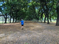 Buenos Aires  Jogging through the parks in Buenos Aires