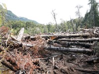 Pampa Linda to Puerto Frias 3-Day Trek ( Day 3 )  Scrambling skills required!