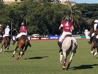 Buenos Aires Polo