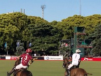 Buenos Aires Polo