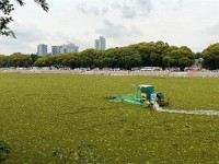 Buenos Aires  Laguna de los Copios at the Reserva Ecologica Costanera Sur