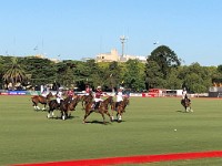 Buenos Aires Polo