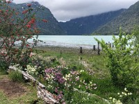 Pampa Linda to Puerto Frias 3-Day Trek ( Day 3 )  At Puerto Frias, end of the trek