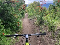 San Martin de los Andes  Biking around San Martin de los Andes (see track on  Strava )