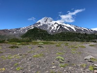 Volcan Lanin ( Day 2 )  Looking back - I had been standing on that peak roughly 5 hours earlier....