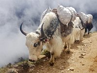 04 DSC03801 edd85df2-e574-40ba-b1f1-3590d687f574