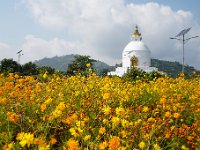 DSC05135  World Peace Pagoda
