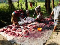 DSC05176  Distributing a slaughtered buffalo to the village families...